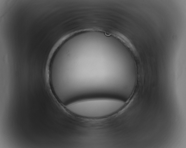 X0000100391188200806060827