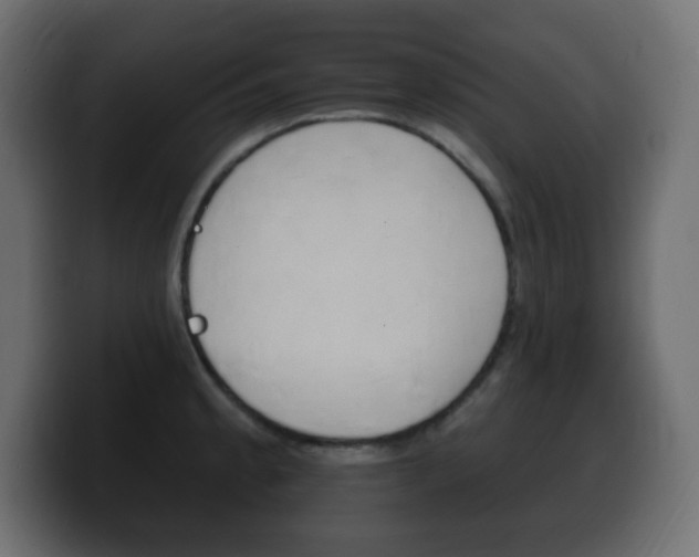 X0000100391189200806060827