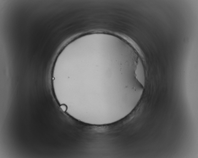 X0000100391191200806060827