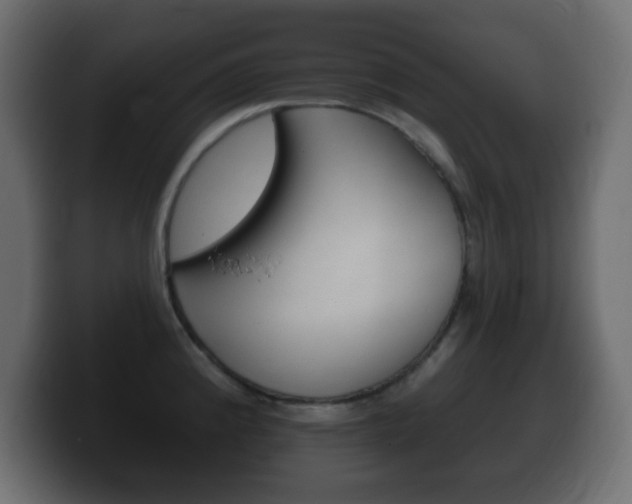 X0000100391192200806060827