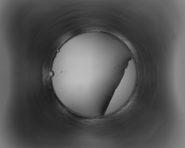 X0000100391193200806060827