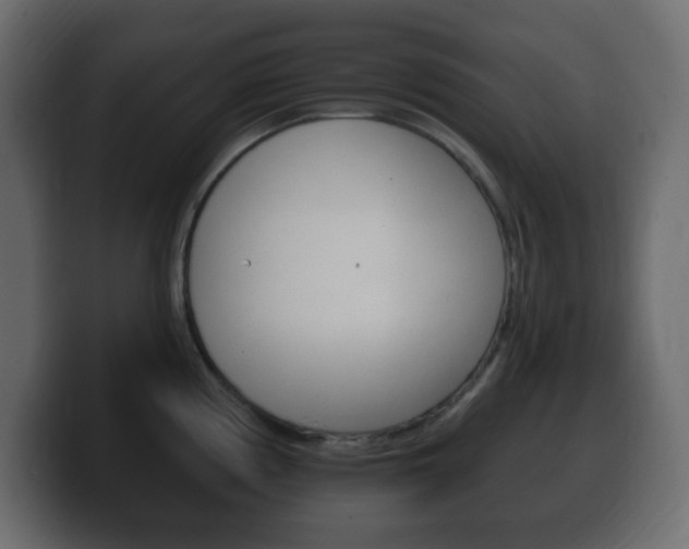 X0000100391194200806060827