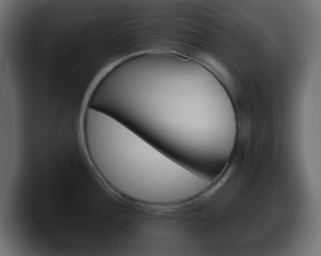 X0000100391196200806060827