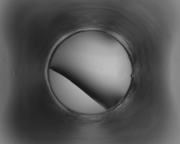 X0000100391197200806060827