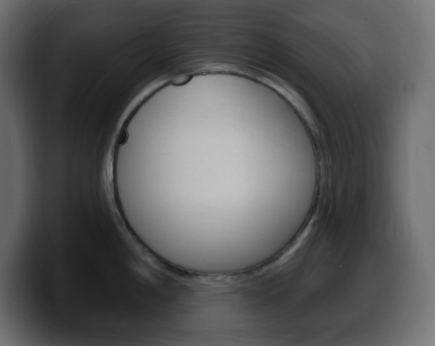 X0000100391198200806060827