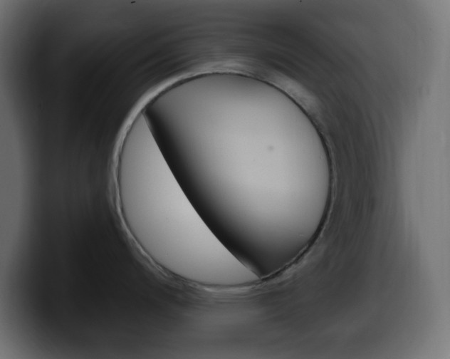 X0000100391200200806060827