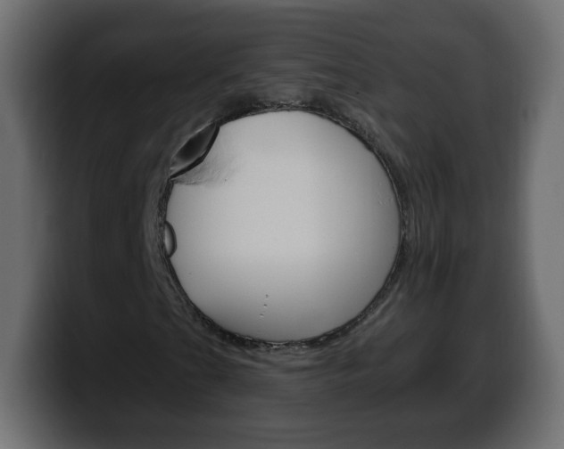 X0000100391201200806060826