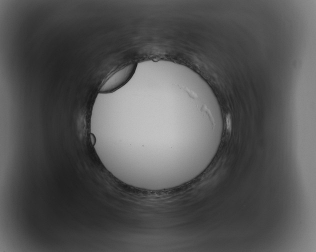 X0000100391203200806060826