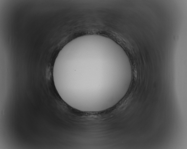 X0000100391204200806060826