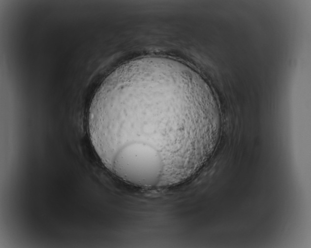 X0000100391205200806060826