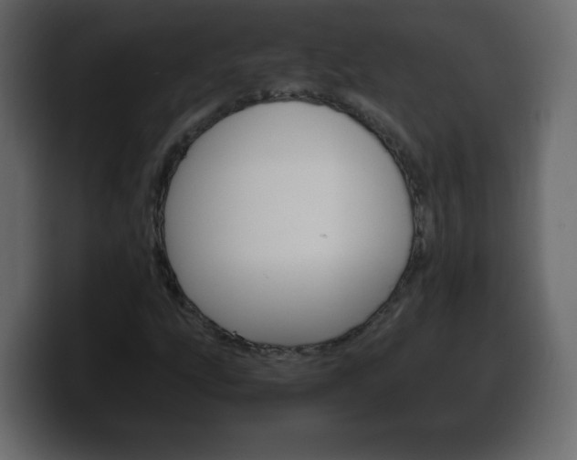 X0000100391207200806060826