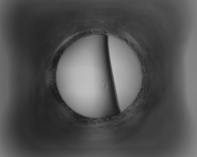 X0000100391208200806060826