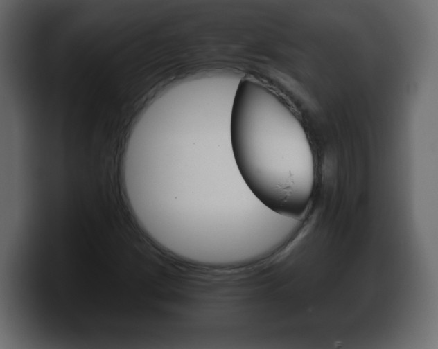 X0000100391209200806060826