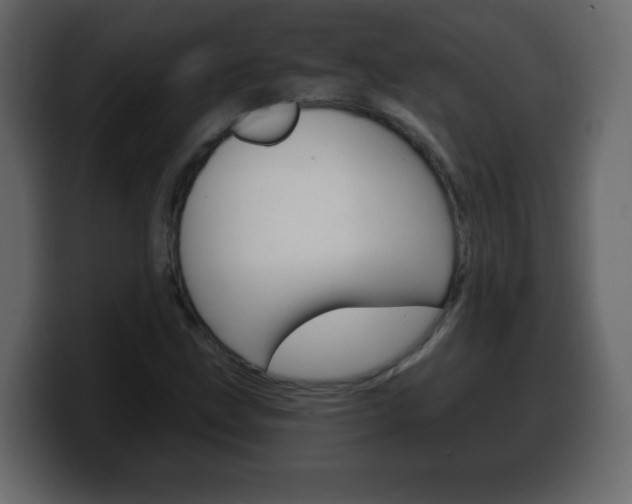 X0000100391211200806060826