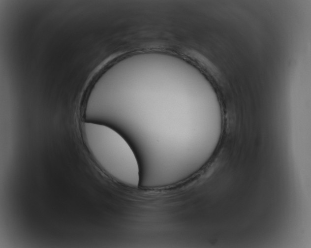 X0000100391212200806060826