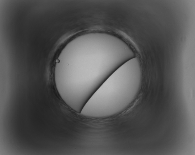 X0000100391215200806060826