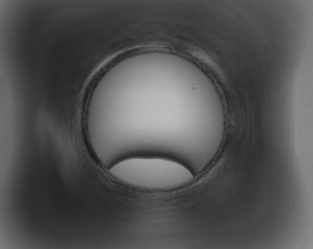 X0000100391216200806060826