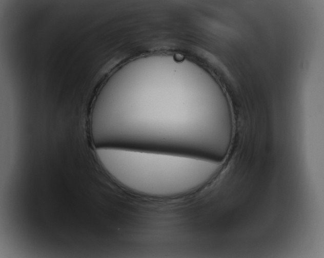 X0000100391217200806060826