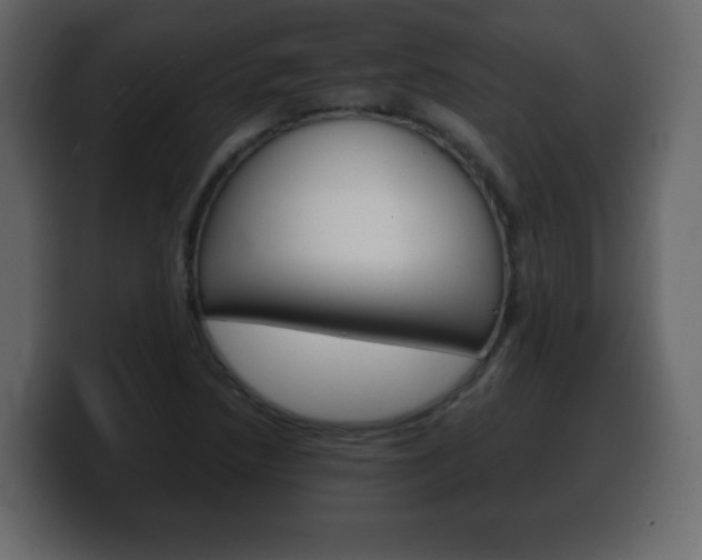 X0000100391218200806060827