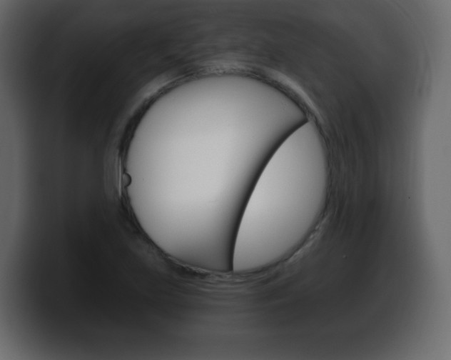 X0000100391219200806060827