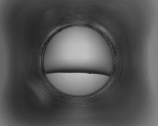 X0000100391220200806060827
