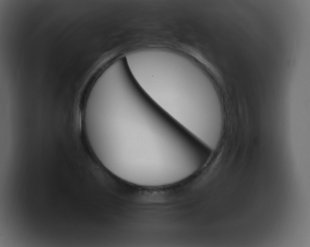 X0000100391221200806060827