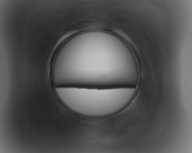 X0000100391222200806060827