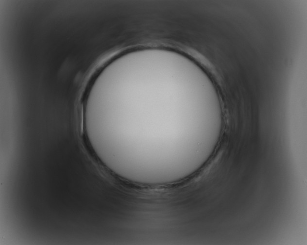 X0000100391223200806060827