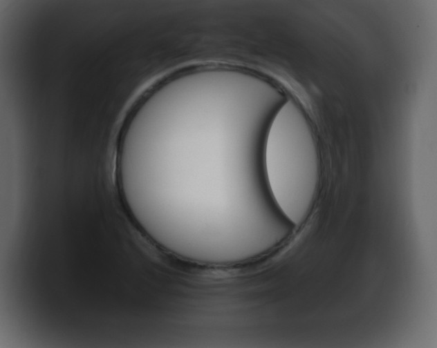X0000100391224200806060827