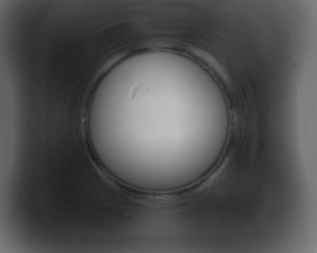 X0000100391225200806060827