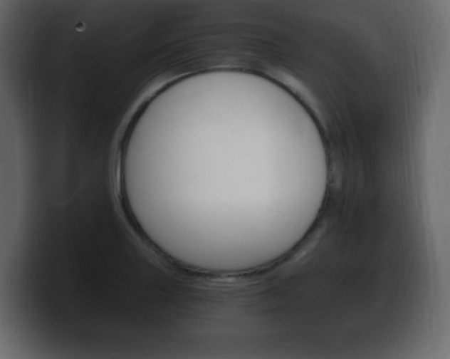 X0000100391227200806060827