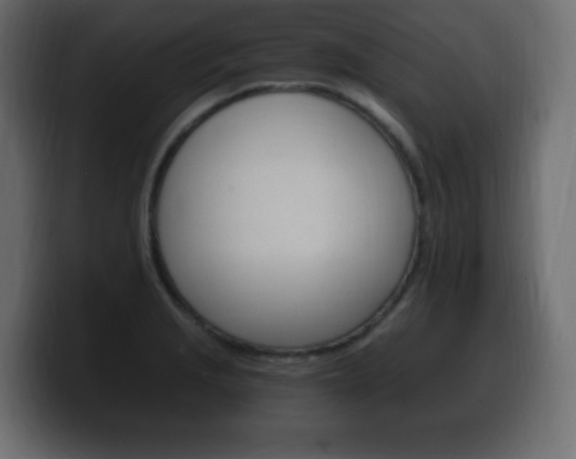 X0000100391229200806060827