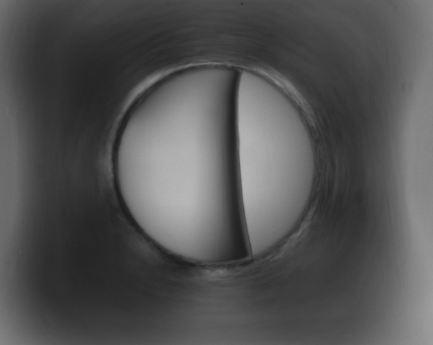 X0000100391230200806060827