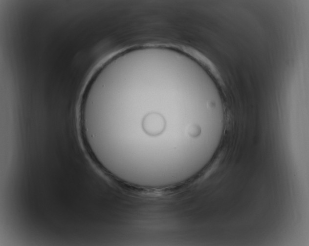 X0000100391231200806060827