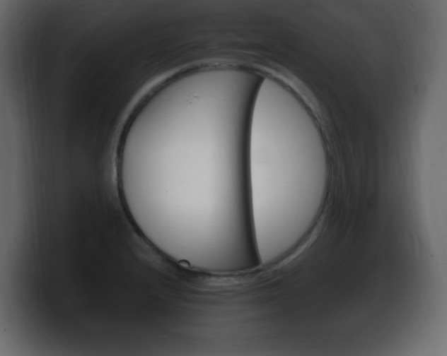 X0000100391232200806060827