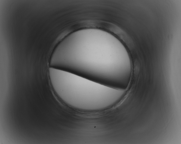 X0000100391233200806060827