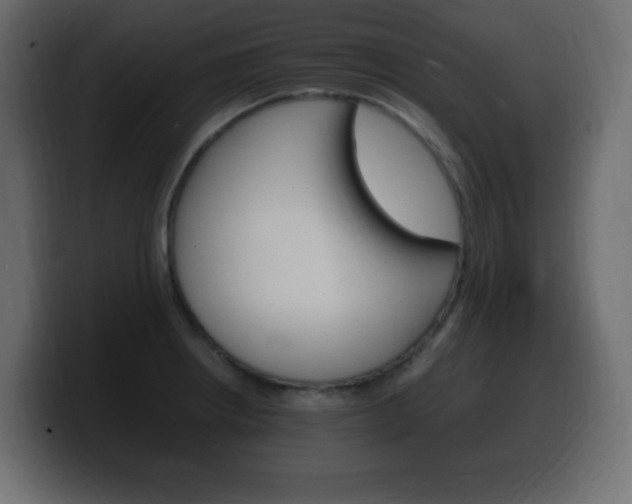 X0000100391234200806060827