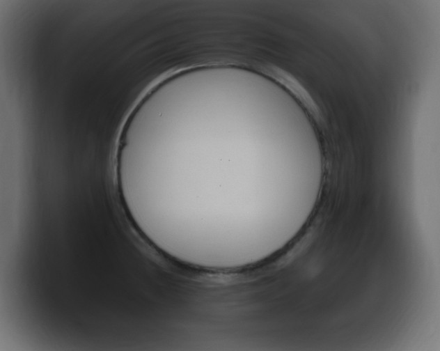 X0000100391236200806060827