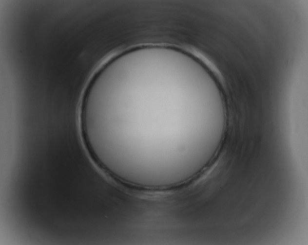 X0000100391237200806060827