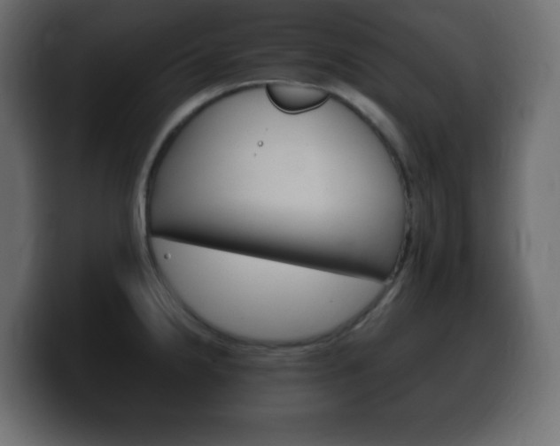 X0000100391238200806060827