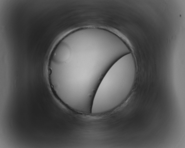 X0000100391239200806060827