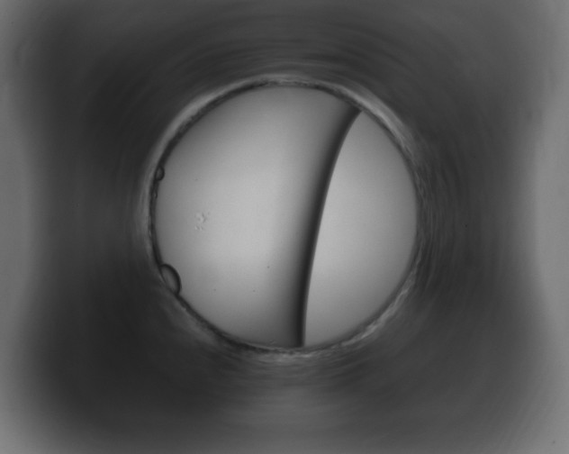 X0000100391240200806060827