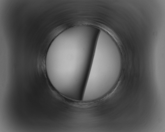 X0000100391241200806060827