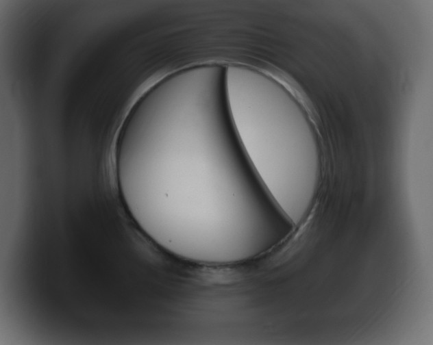 X0000100391242200806060827