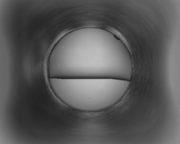 X0000100391243200806060827