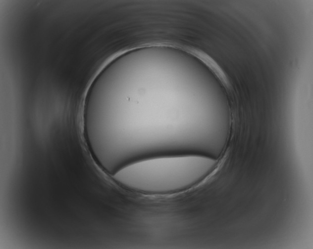 X0000100391244200806060827
