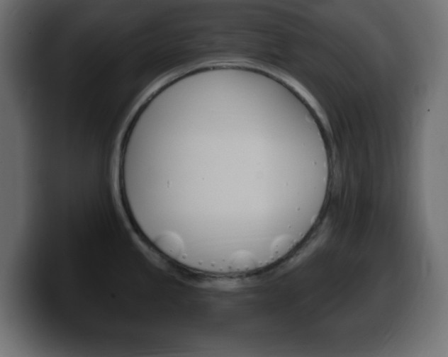 X0000100391245200806060827