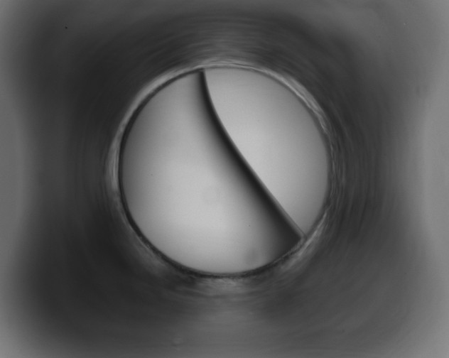 X0000100391246200806060827