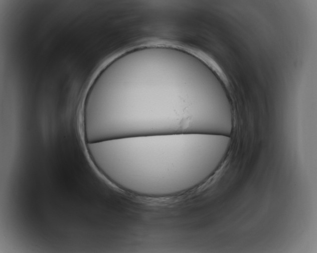 X0000100391247200806060827