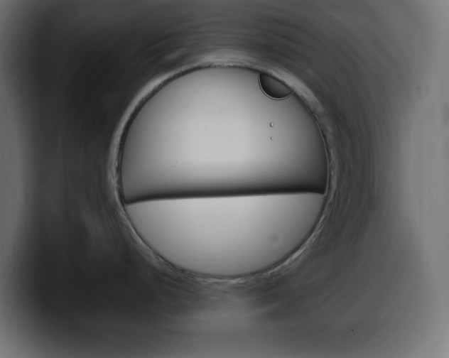 X0000100391248200806060827